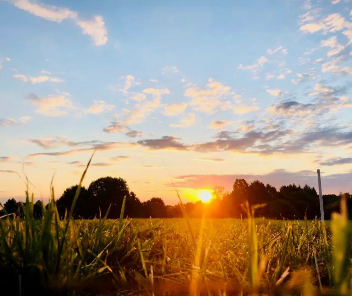 Flourish Wellbeing retreat, Cotswolds