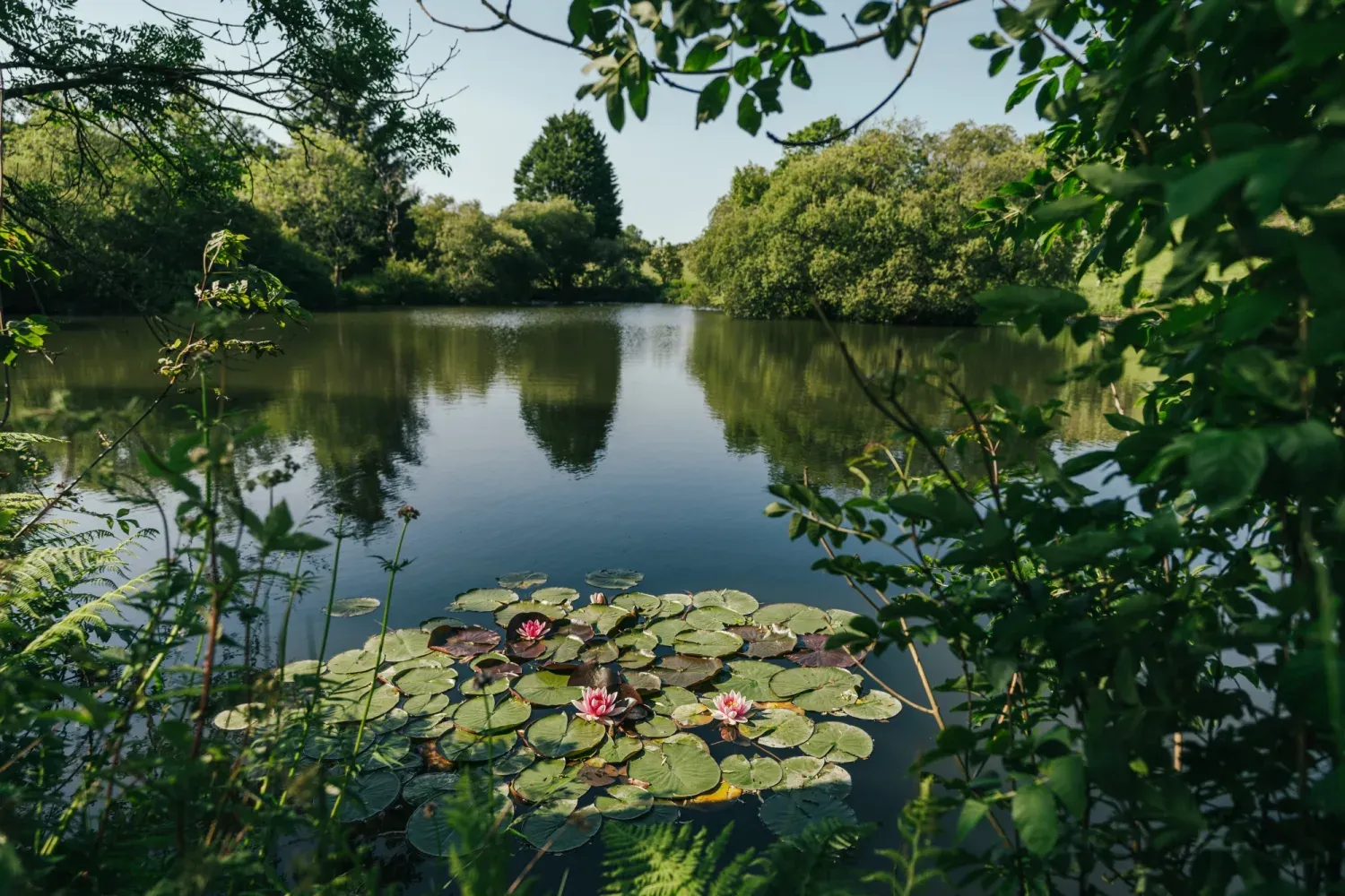 Private grounds and lake at the Cornwall retreat estate